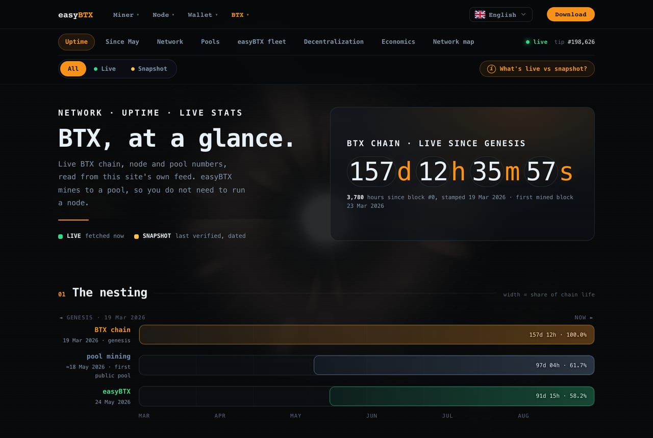 The live stats page at easybtx.com/stats, reading the chain, the node census and every working pool, as it stood on 23 August 2026.